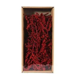 Canella Special Rood 25st