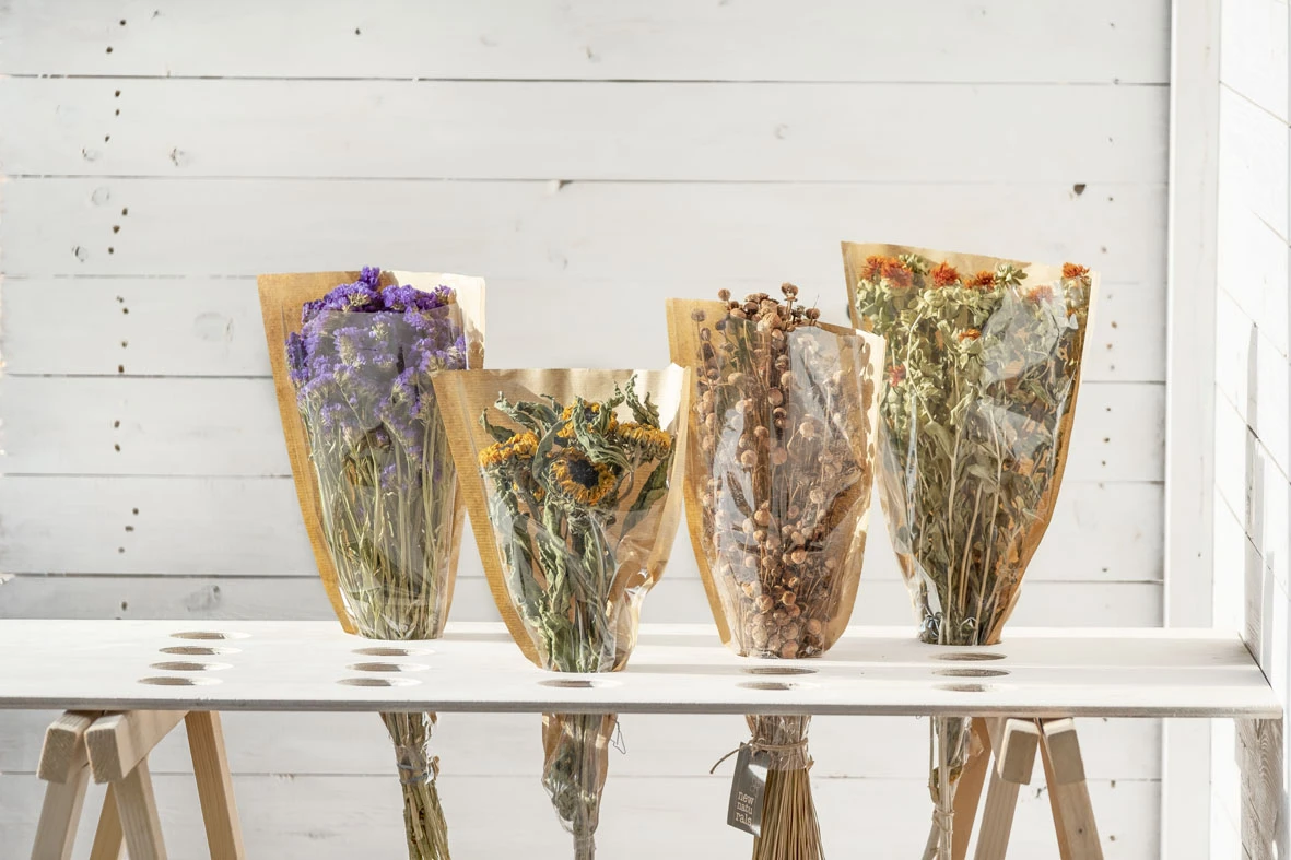 Statice Sinuata Geel 2 Statice Sinuata Geel - Afbeelding 2