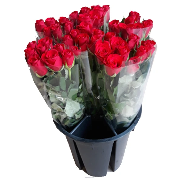 Emmer 10ltr Zwart Met Vakverdeling 720/pallet 2 Emmer 10ltr Zwart Met Vakverdeling 720/pallet - Afbeelding 2