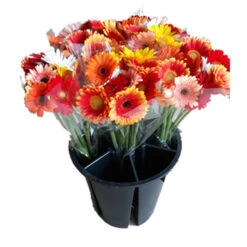 Emmer 10ltr Zwart Met Vakverdeling 720/pallet 5 Emmer 10ltr Zwart Met Vakverdeling 720/pallet -Huisdecoratie 81272124 3