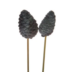 Dennenappel Dicht Op 10cm Draad Whitewash 50st