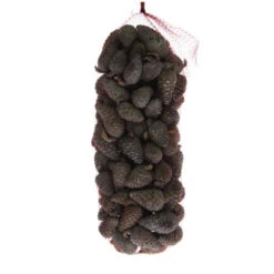 Dennenappel Dicht Whitewash 1kg