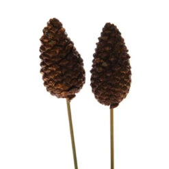 Dennenappel Dicht Op 10cm Draad Koper 50st