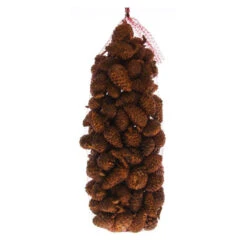 Dennenappel Dicht Koper 1kg