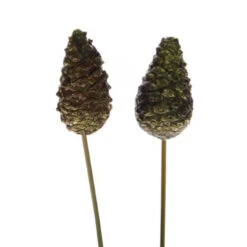 Dennenappel Dicht Op 10cm Steker à 50 Stuks Goud