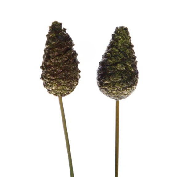 Dennenappel Dicht Op 10cm Steker à 50 Stuks Goud 1 Dennenappel Dicht Op 10cm Steker à 50 Stuks Goud