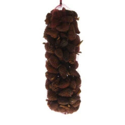 Dennenappel Dicht Naturel 1kg