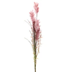 Gusmaniagras72cm Roze 24/ds