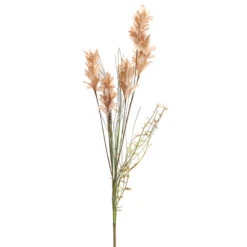 Gusmaniagras 72cm Naturel 24/ds