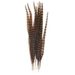 Veren Fazant Naturel 40-45cm 10/set