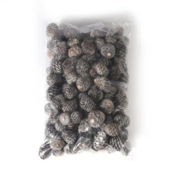 Murri Fruit Naturel à 1kg