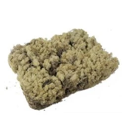 IJslands Mos Naturel Gedroogd 2-laags