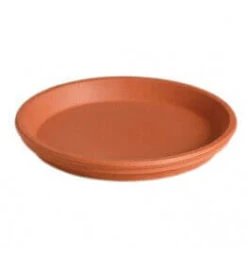 Schotel D.25cm Roodsteen