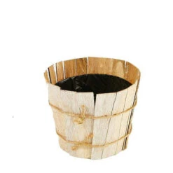 Pot Houtstrip D.14/H.11cm Whitewash 10/pak (80/ds)